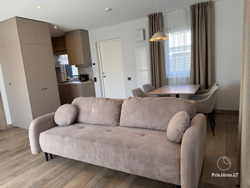 New cottages for rent on Vingio Street, Kunigiškiai