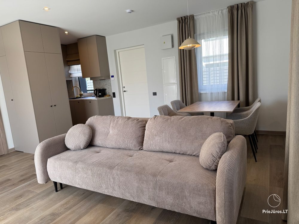 New cottages for rent on Vingio Street, Kunigiškiai - 1