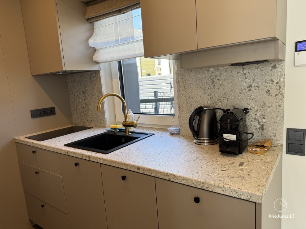 New cottages for rent on Vingio Street, Kunigiškiai