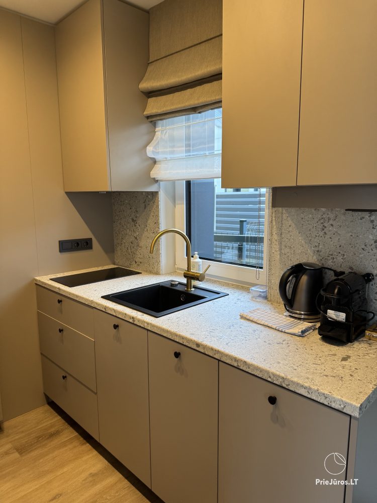 New cottages for rent on Vingio Street, Kunigiškiai
