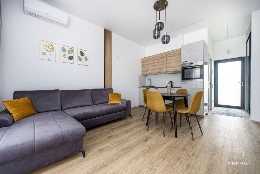 Brauni Modern one-story cottage in Kunigiškiai