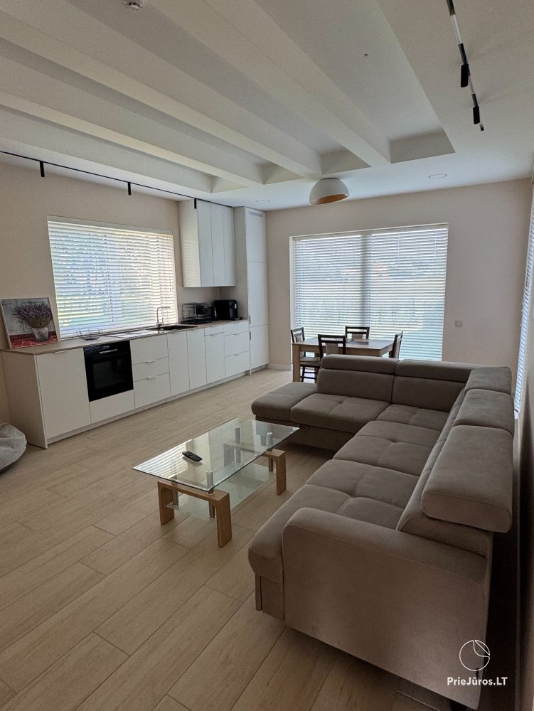 New home rental Amber Stone Monciškės.