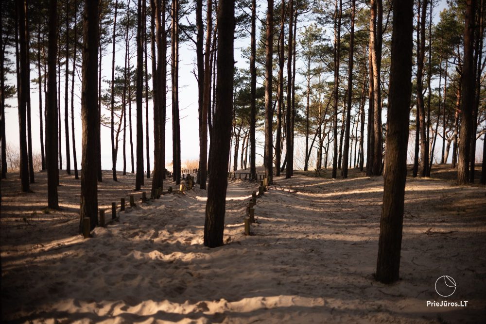 Chill Hill Palanga (Hill Garden Residence complex)