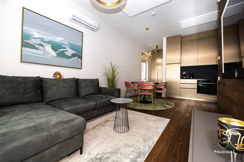 Leo Kopa - apartment for rent in Kunigiškiai, Mano Jūra complex - 1