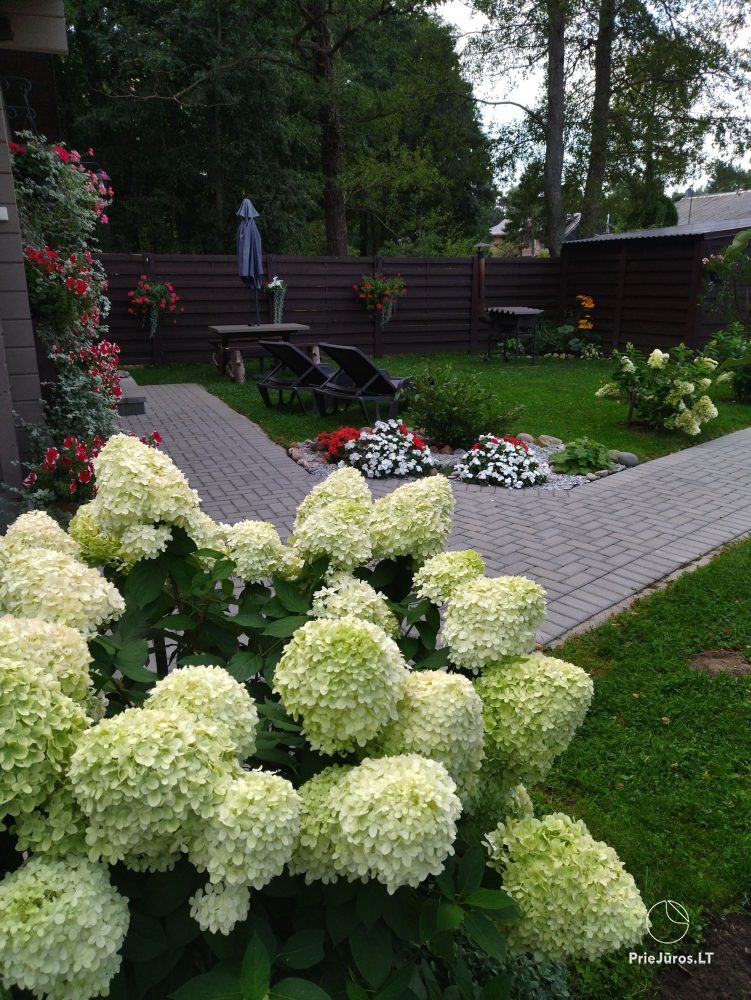 Holiday home Nemirseta short-term rental