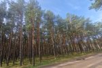 Уютная квартира в аренду с террасой и подогреваемым бассейном