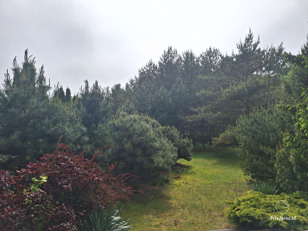 Apartment for rent for 6 people, 300 meters from the sea