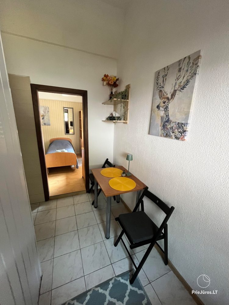 Apartment on Ievos kalno 8