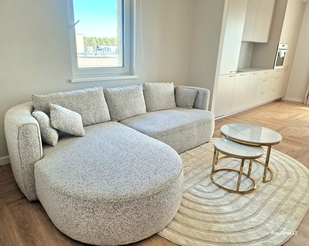 Cozy, spacious L&A apartments for up to 6 people in Kunigiškiai