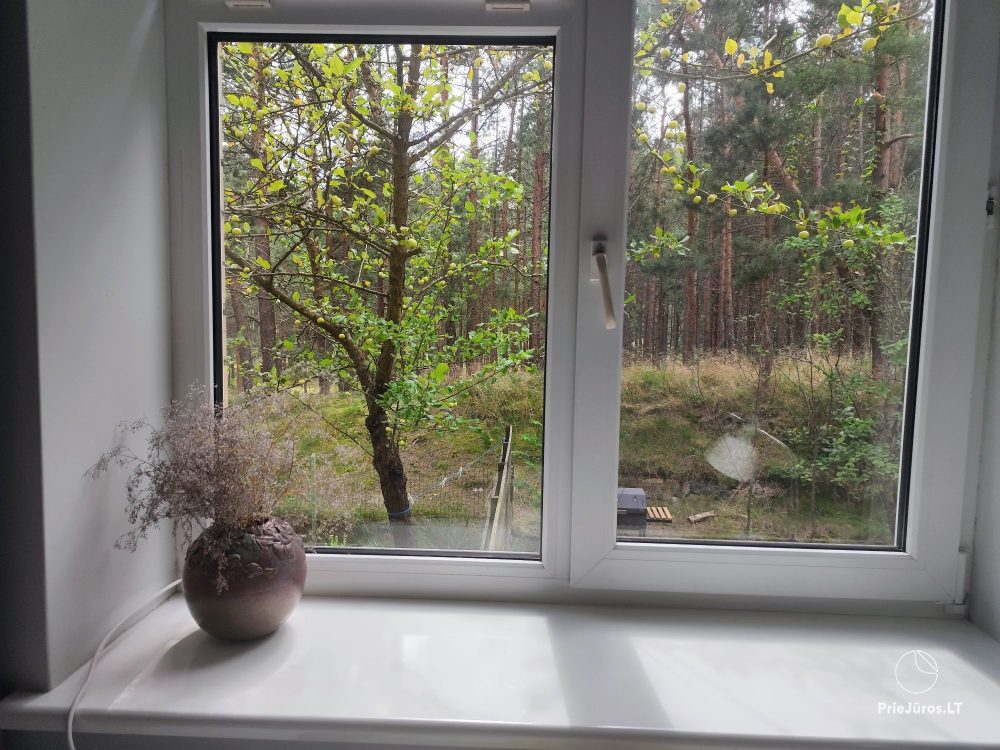 2-room apartments in Nida near the forest, private entrance, courtyard