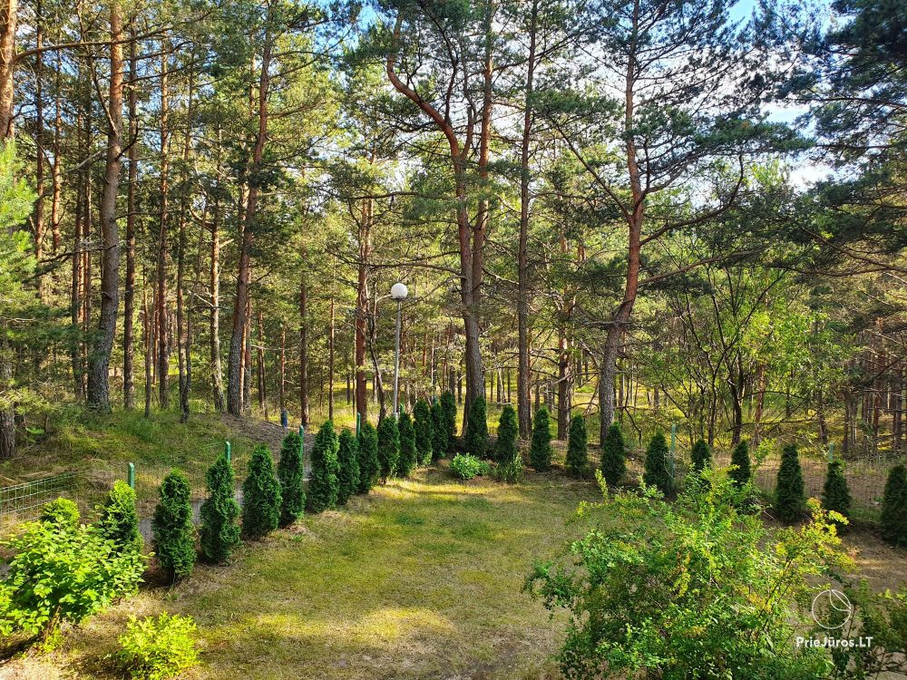 2-room apartments in Nida near the forest, private entrance, courtyard