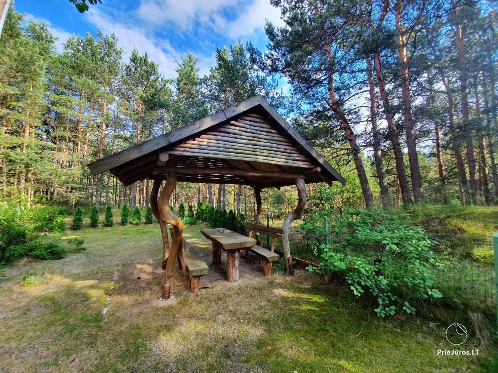 2-room apartments in Nida near the forest, private entrance, courtyard