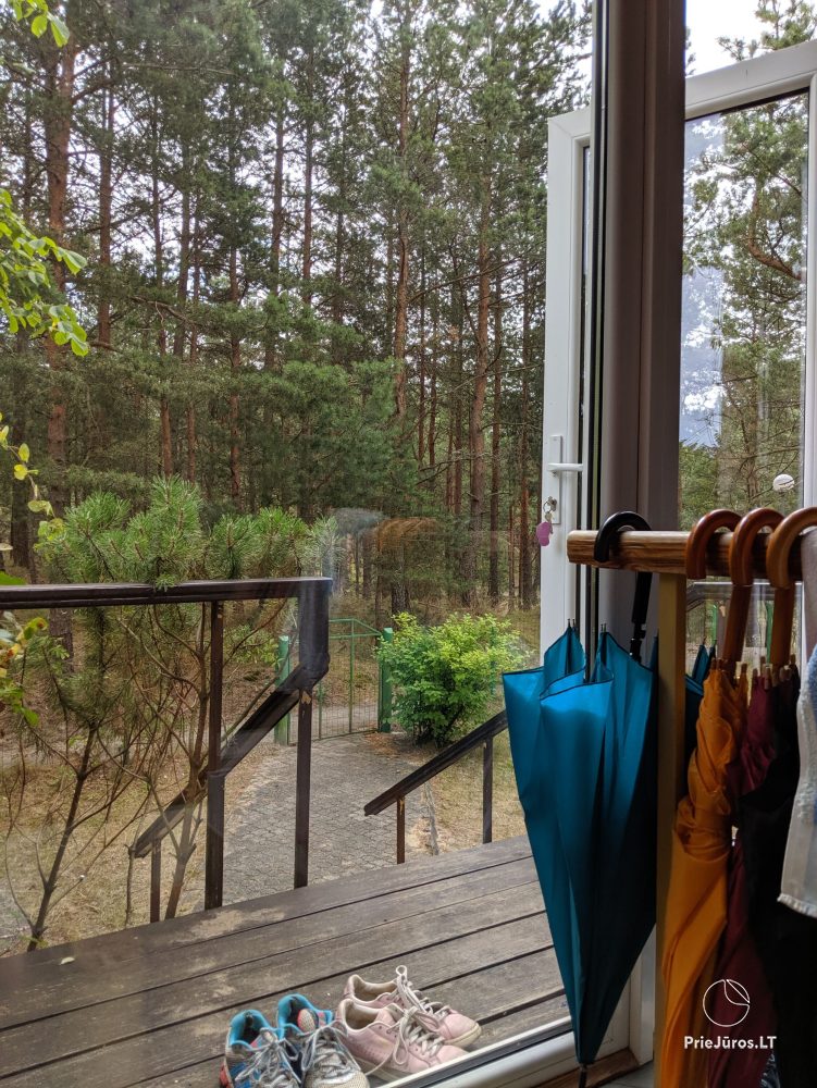 2-room apartments in Nida near the forest, private entrance, courtyard