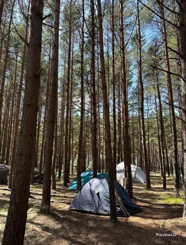 Campsite in Palanga