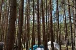 Campsite in Palanga - 2