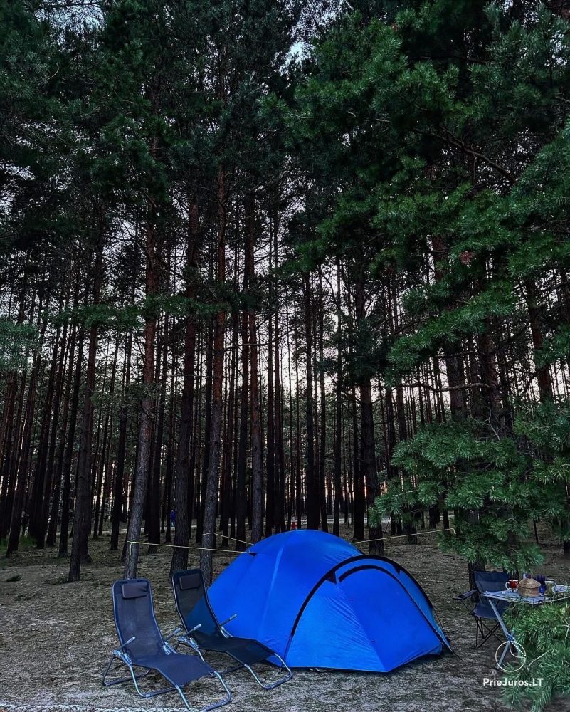 Campsite in Palanga