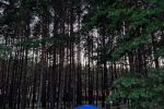 Campsite in Palanga - 4