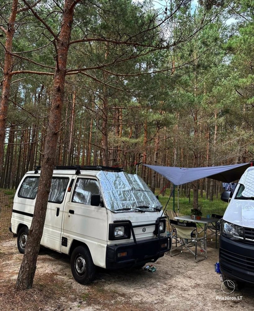 Campsite in Palanga