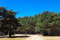 Campsite in Palanga