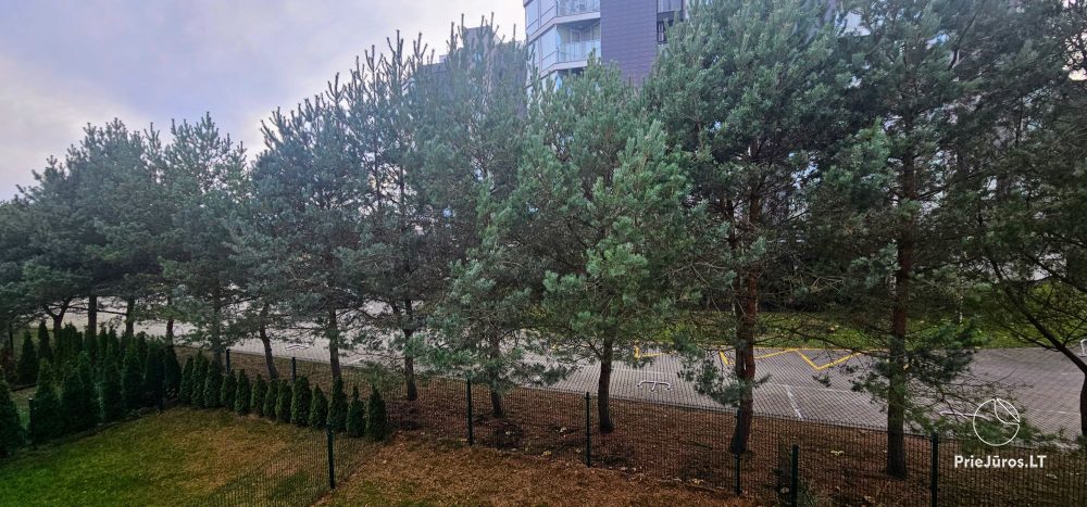 Сдается отдельный коттедж 102 кв м (2019), 350 м до моря.