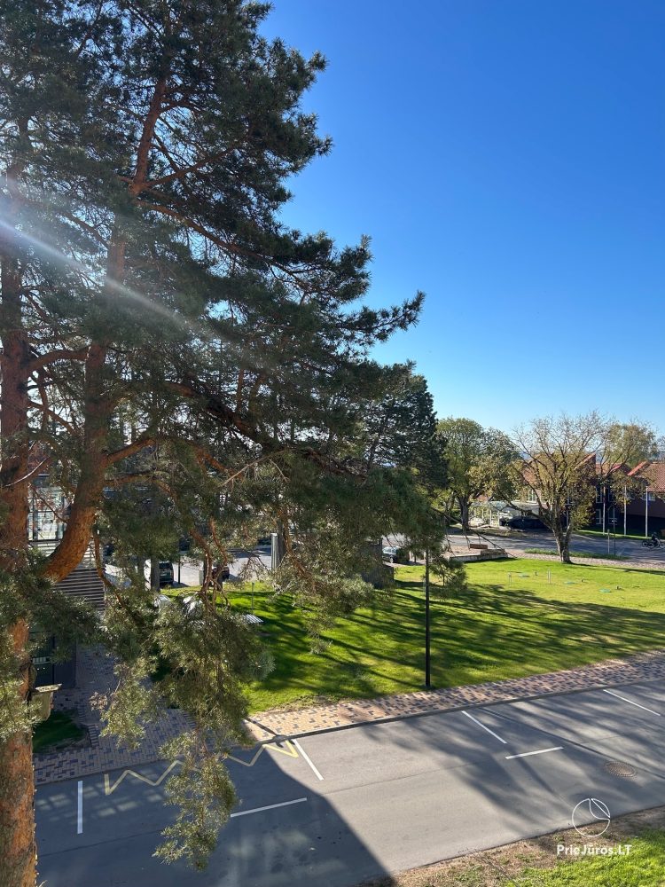 Bright and Spacious Apartment Rental in the Center of Nida