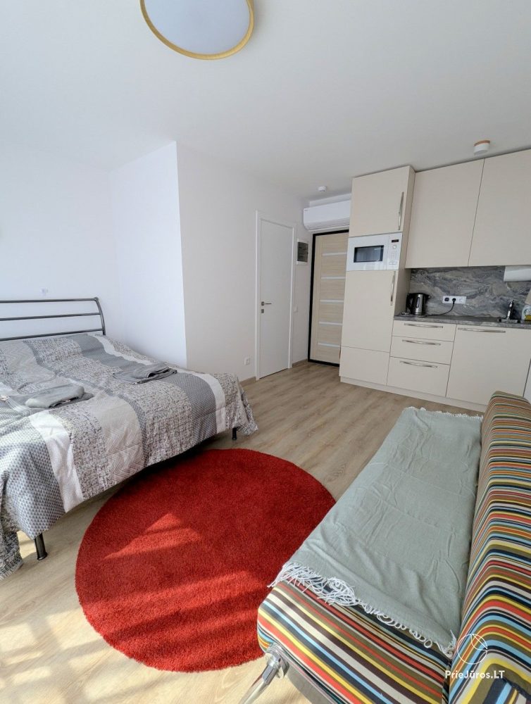 Three Cozy Studios in Palanga