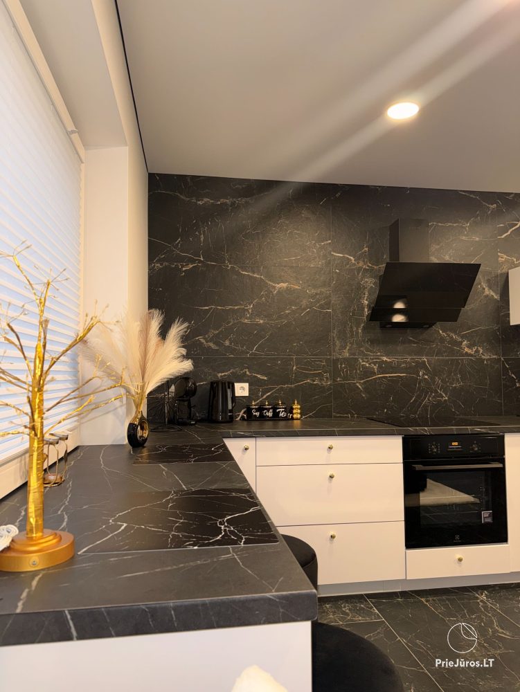 Современные минималистичные элитные апартаменты Klaipėda