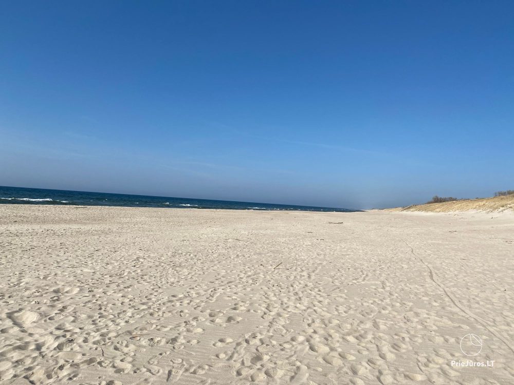 Apartment Rental in Nida