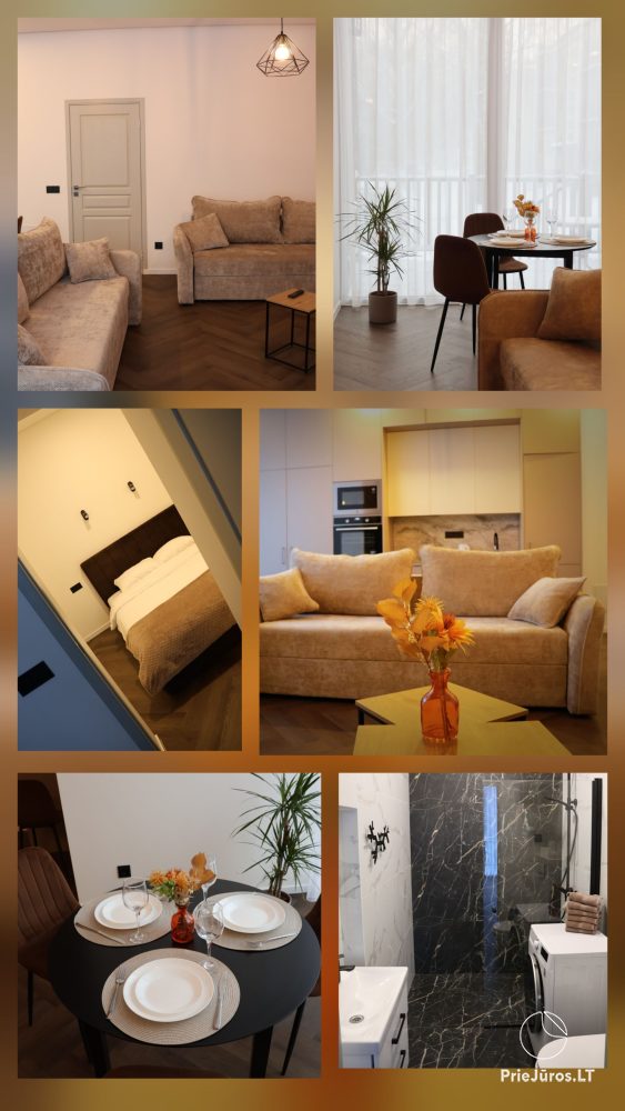 Apartment rental on Vytauto Street - 1