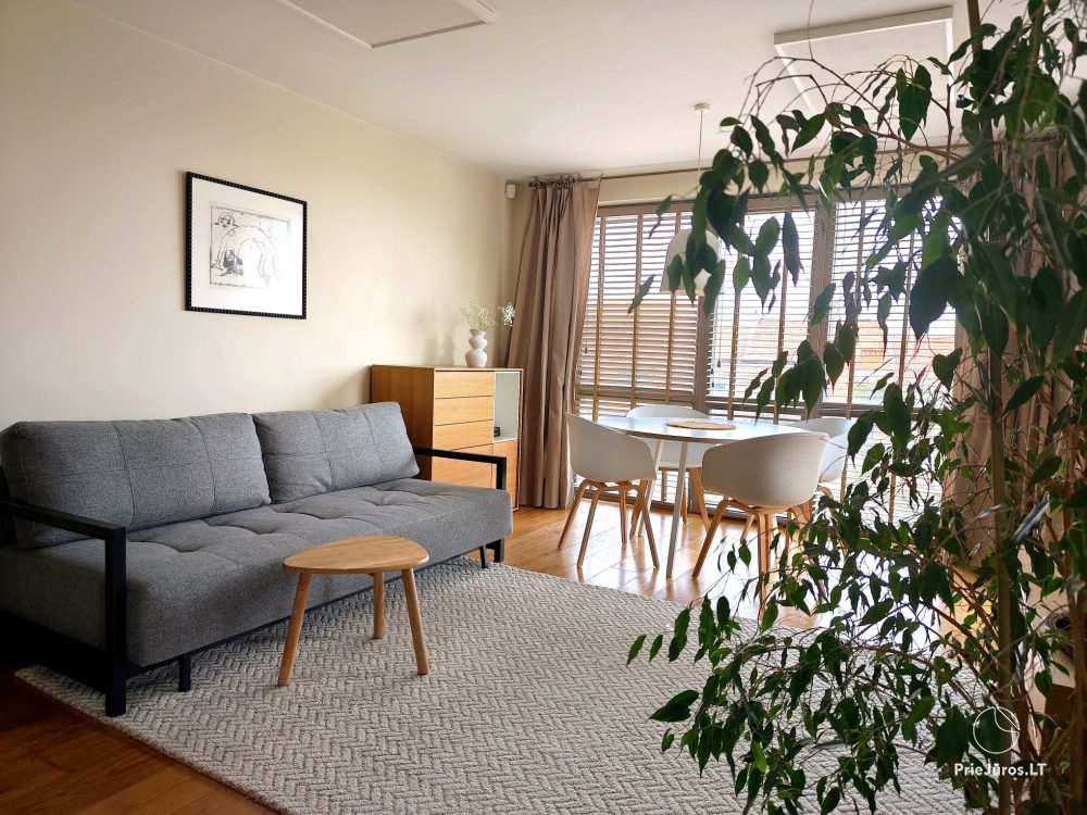 Exclusive Apartments “Nidos terasa” - 1