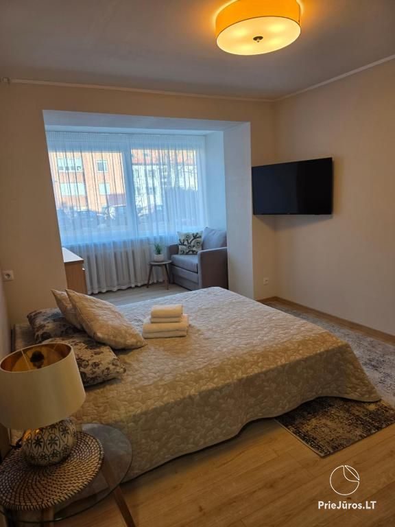 Nida center - one-room apartment on Taikos St.