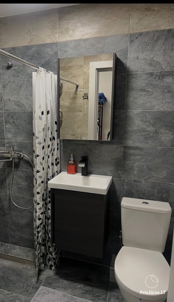 Apartment rental