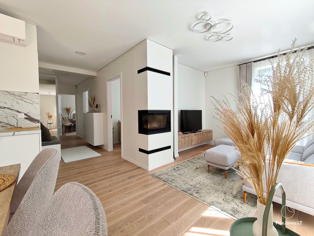 Apartments “Launagis” in Nida - 1