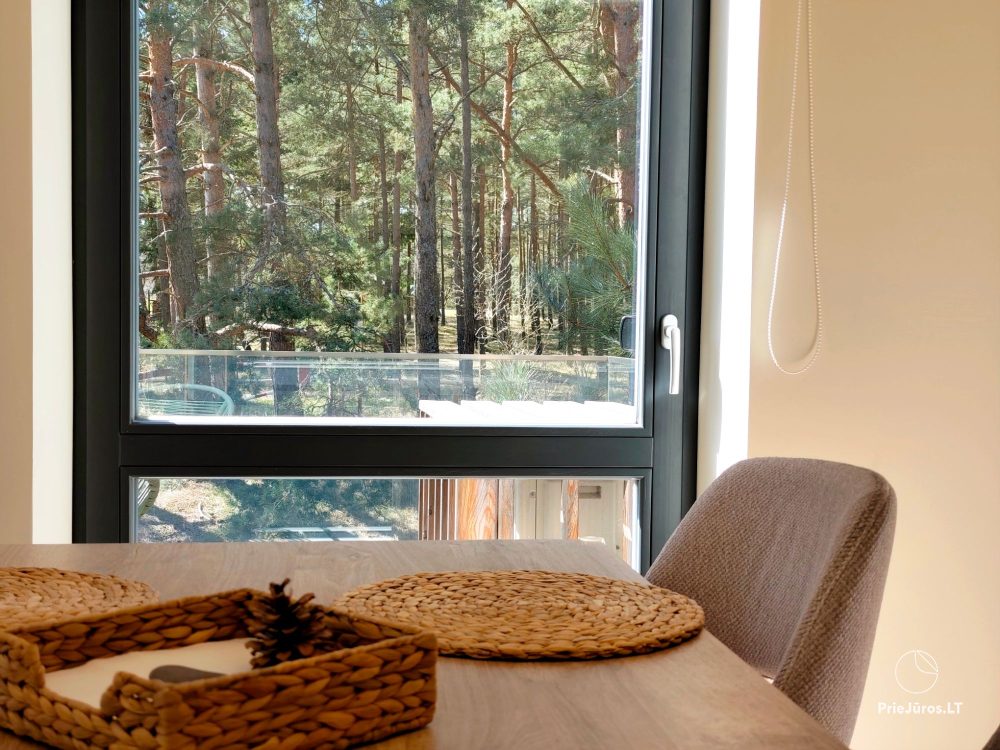 Apartments “Launagis” in Nida