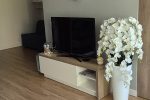 Apartment rental in Palanga “Smilgų apartamentai”