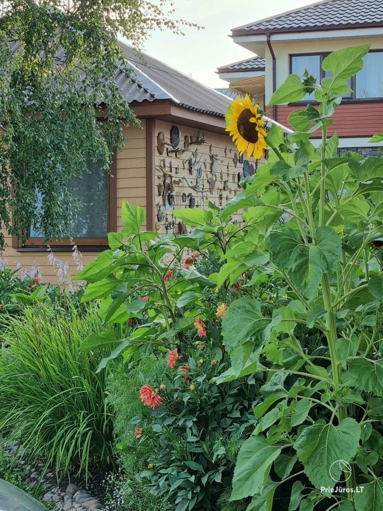 Guest house in Palanga Anike