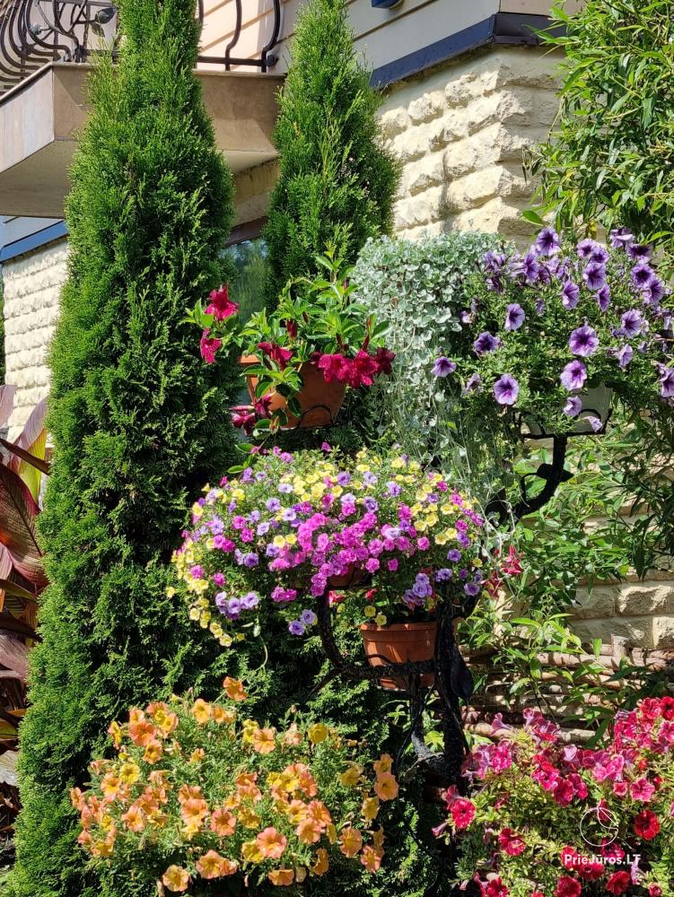 Guest house in Palanga Anike