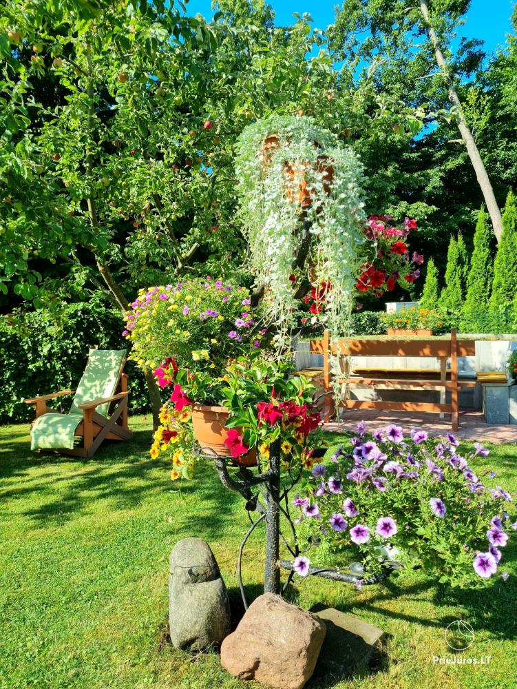 Guest house in Palanga Anike