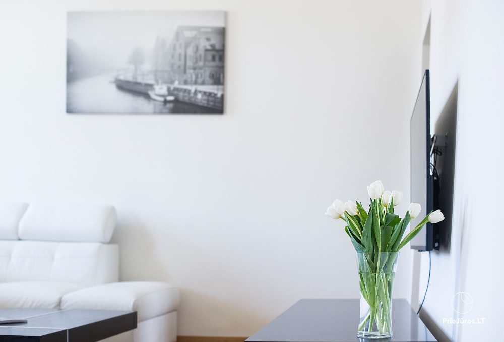 Red Brick Apartments Klaipeda