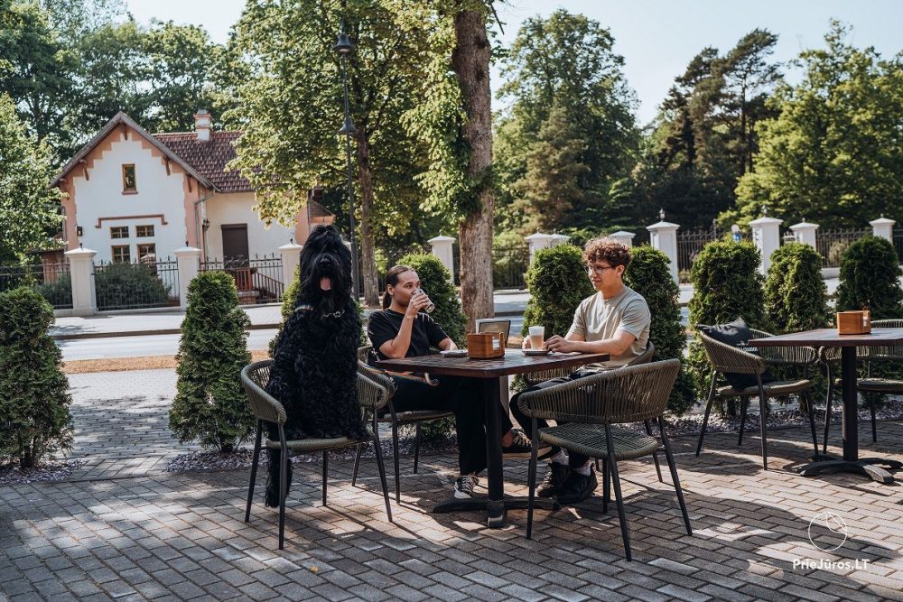 Hotel in Palanga Gabija ****: restaurant, SPA center, conference hall