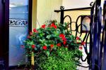 “Senoji Palanga” - rooms and apartments in center of Palanga - 4