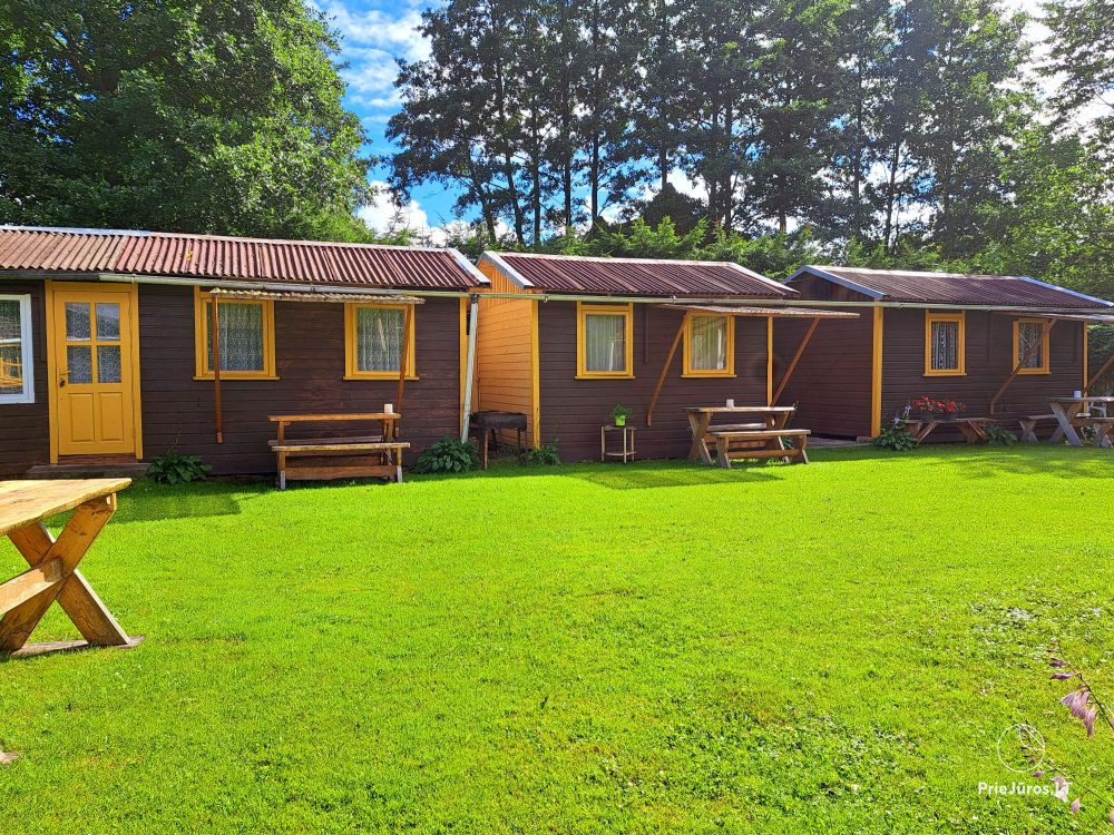 Little holiday houses and apartment for rent in Palanga, in rest place Pusynelis - 1