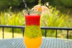 Radailių Dvaras - Dinosaur Park - Apartments - Restaurant - Banquets - Weddings - SPA near Klaipėda