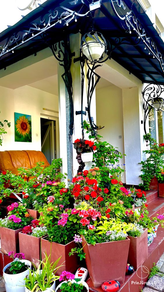 Farmstead in Sventoji Audrone - rooms, apartments, holiday cottages for rent