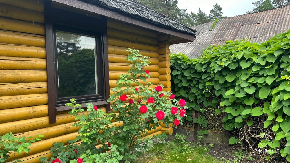 Farmstead in Sventoji Audrone - rooms, apartments, holiday cottages for rent