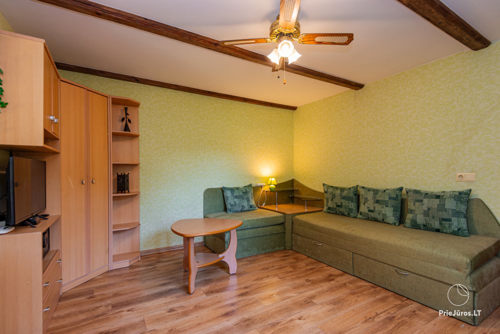 Single-room flat in Nida in ethnographical house “Pas Mecislova”
