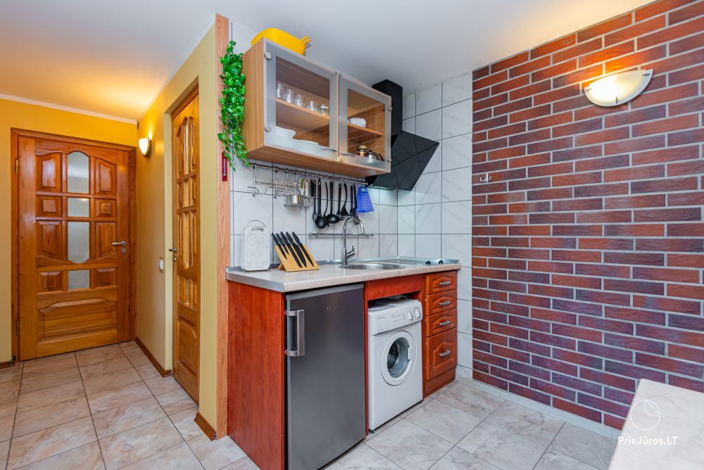 Single-room flat in Nida in ethnographical house “Pas Mecislova”