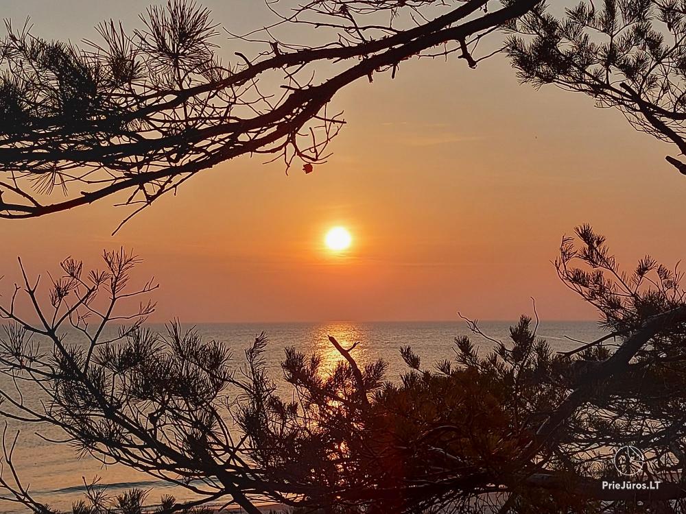 Saulės vila in Palanga at the sea. The best palce for family holiday!