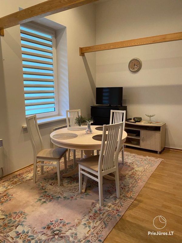 Studio apartment in Palanga by the park