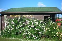 New summerhouses for rent in Palanga